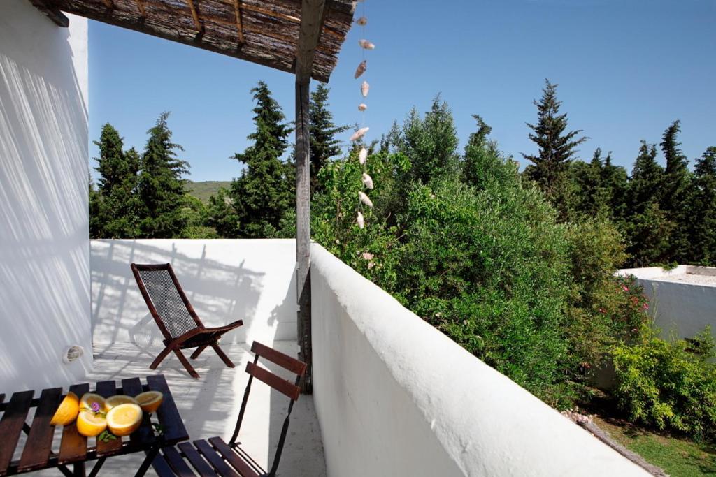 Bungalows Puravida زاهورا المظهر الخارجي الصورة