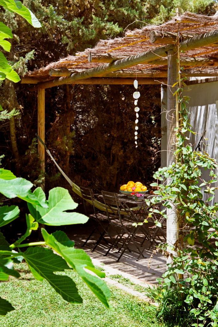 Bungalows Puravida زاهورا المظهر الخارجي الصورة
