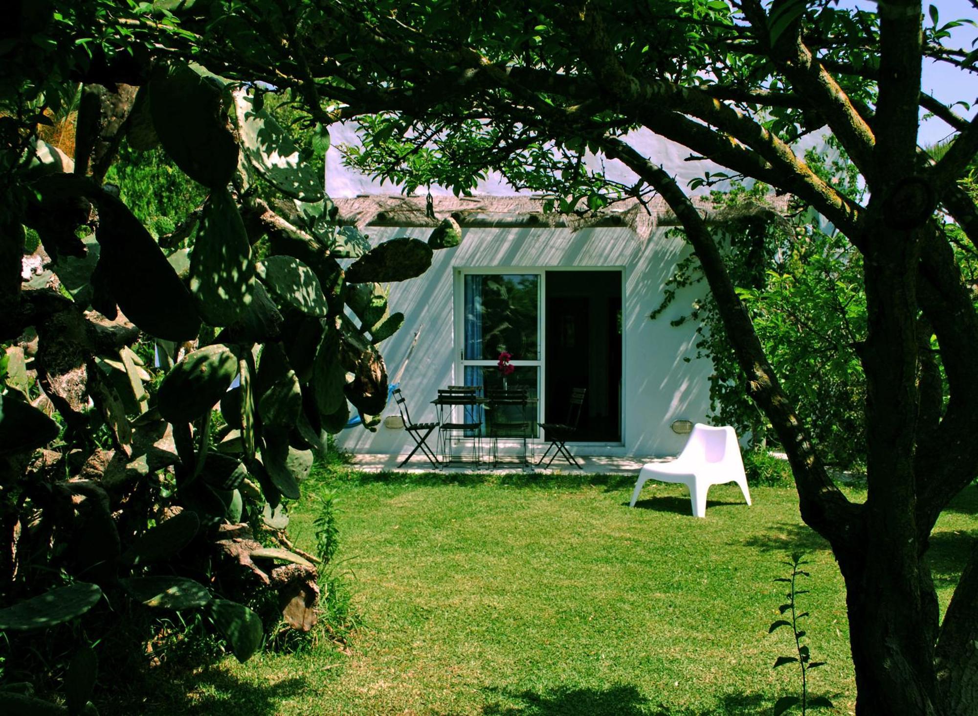 Bungalows Puravida زاهورا المظهر الخارجي الصورة