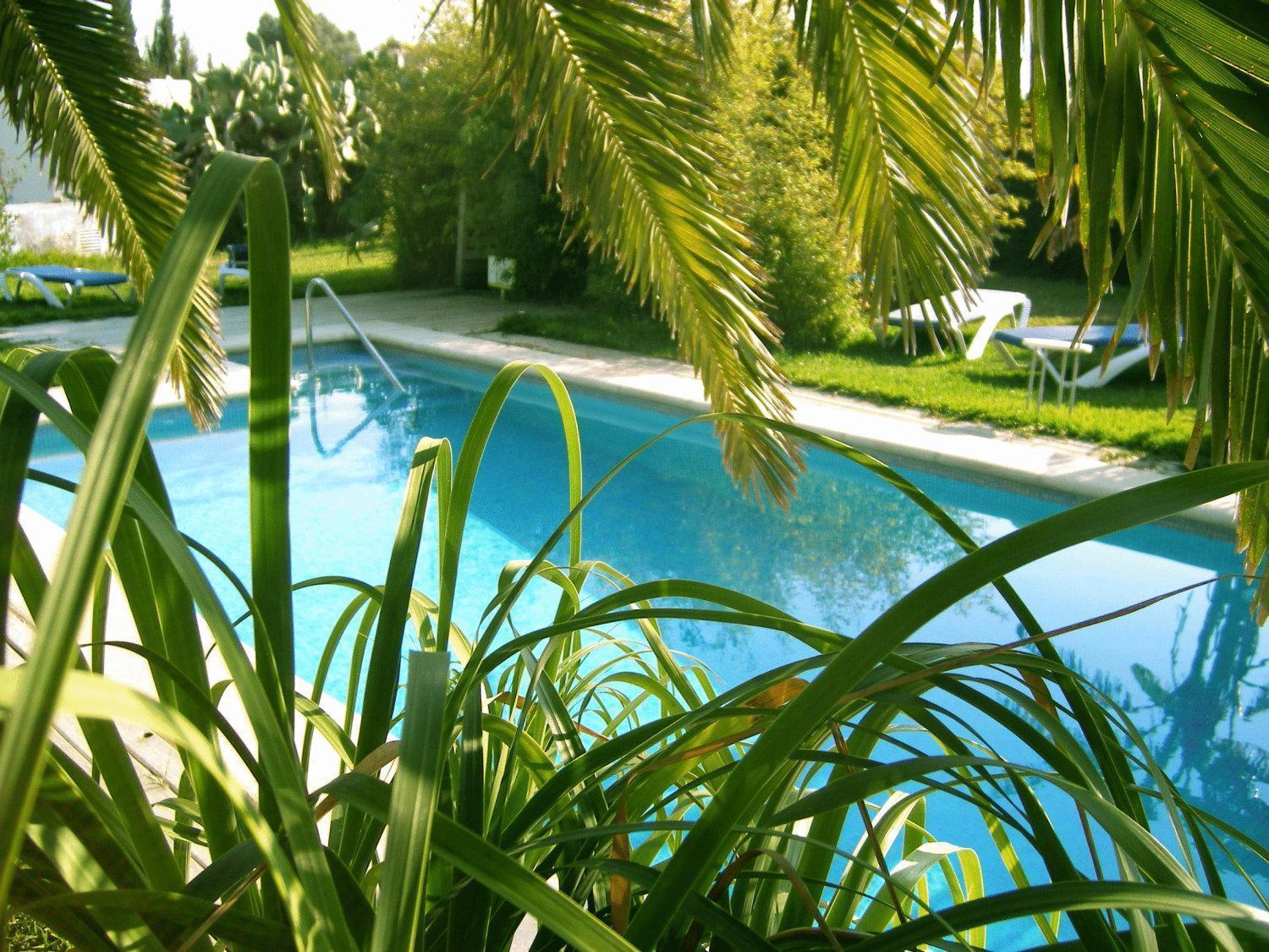 Bungalows Puravida زاهورا المظهر الخارجي الصورة