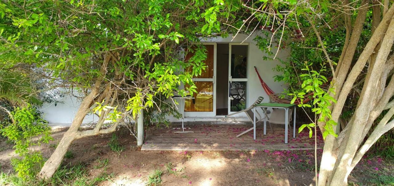 Bungalows Puravida زاهورا المظهر الخارجي الصورة